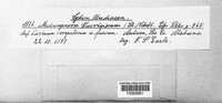 Image Associated With the Occurence